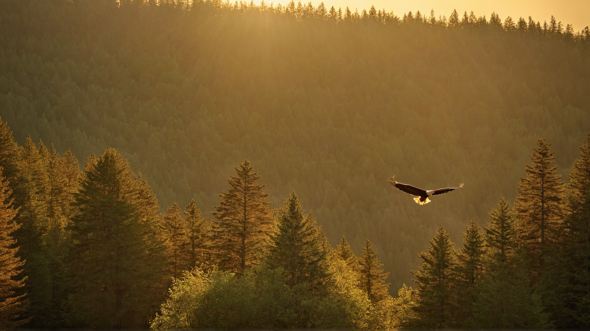 A majestic eagle soaring high above a dense forest, its wings outstretched as it