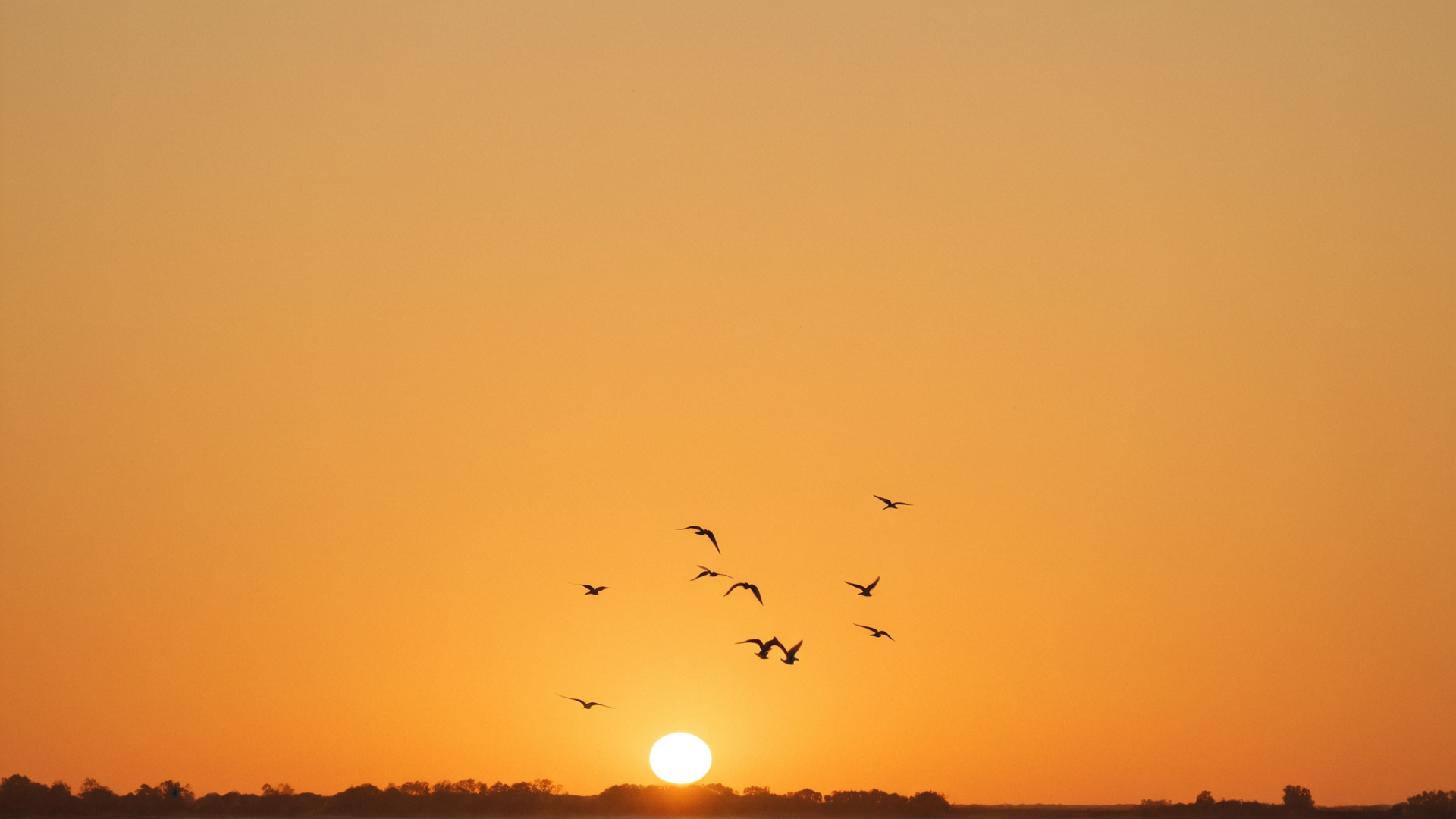 An intricate dance of swifts and swallows as they perform intricate aerial acrob